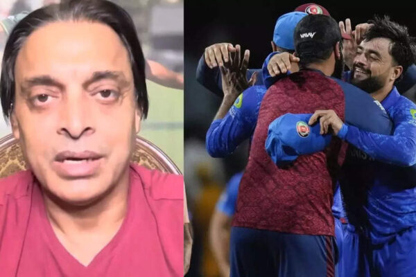 'Hathi sher se 100x bada hota hai aur...': Shoaib Akhtar's analogy to define Afghanistan's historic T20 World Cup win over Australia | Cricket News