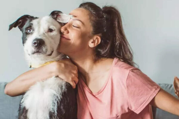 8 pets that are said to bring wealth and success 8 pets that are said to bring wealth and success
