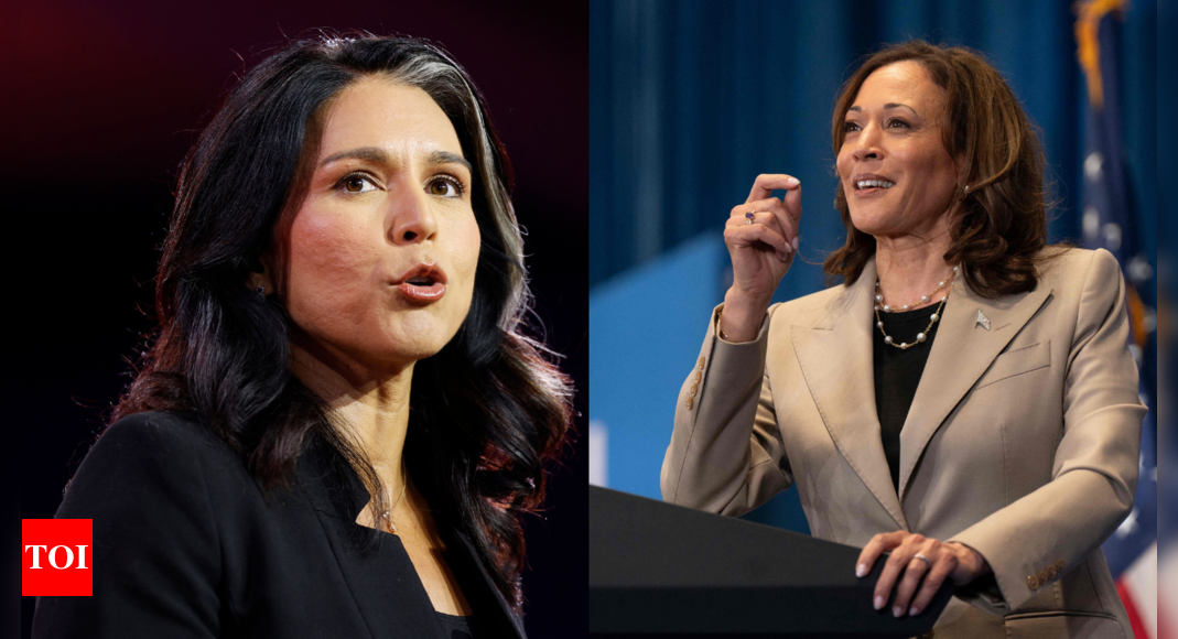 Trump Harris Debate: Tulsi Gabbard says Kamala Harris is taking extreme acting lessons: 'She's talented on debate stage but...'