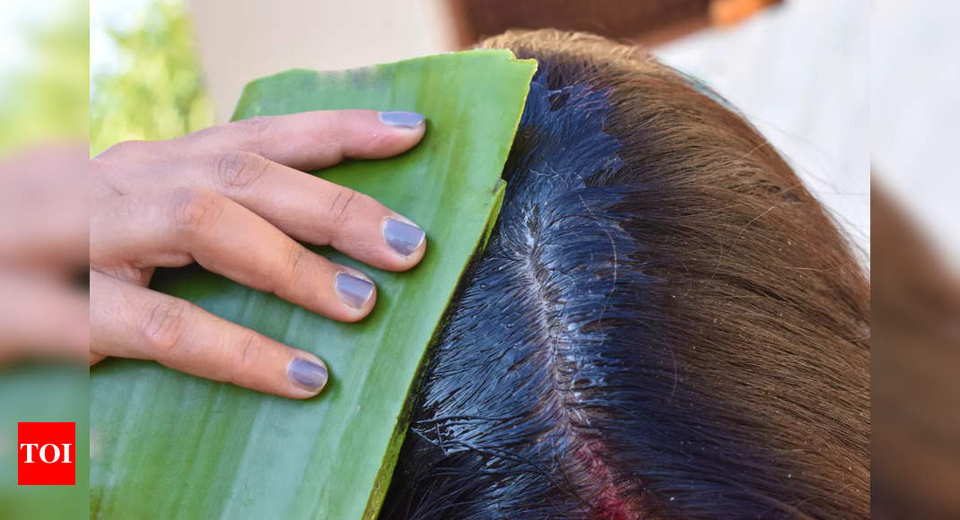 Aloe Vera for Hair Fall: How to use Aloe Vera to stop hair fall instantly |