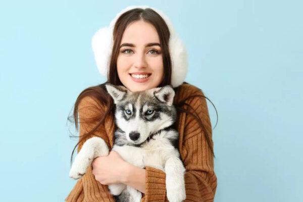 5 popular types of Huskies to have as pets