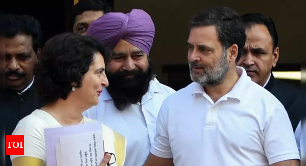 'Haare toh EVM ka rona': BJP's meme-fueled jibe at Congress post Priyanka Gandhi Vadra's Wayanad win | India News